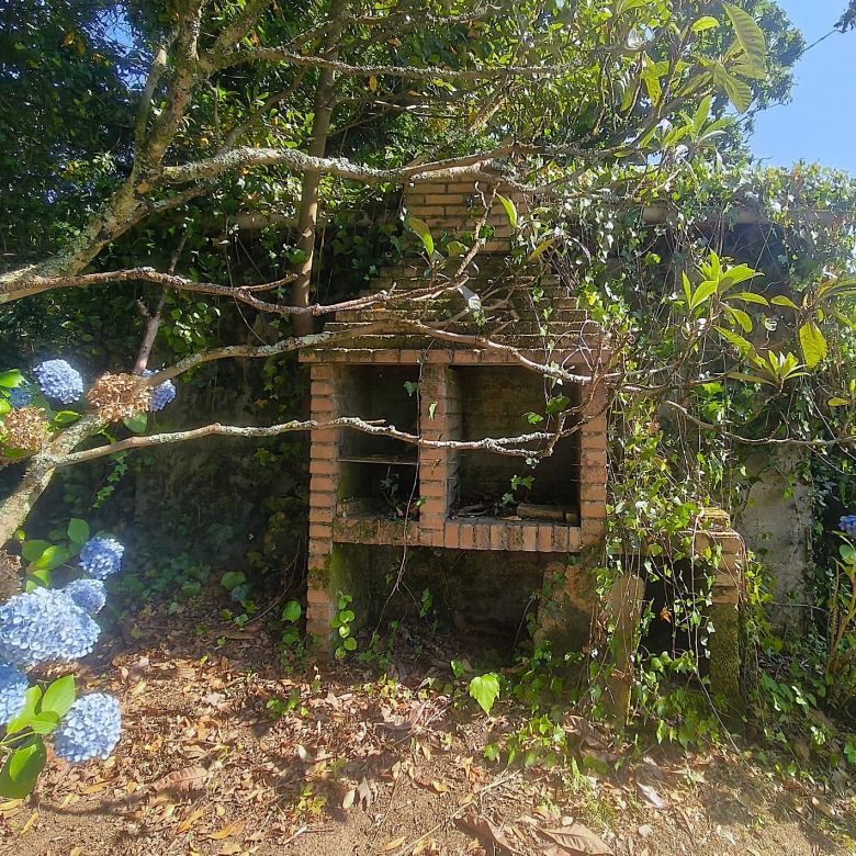 Casa o Chalet independiente en venta en Abegondo