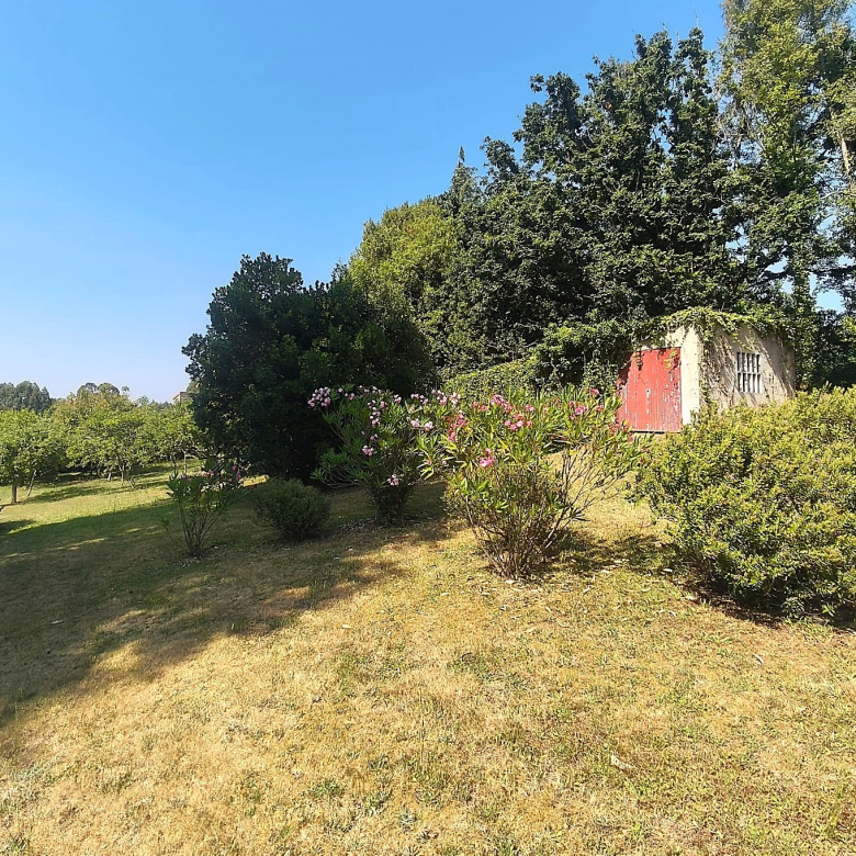 Casa o Chalet independiente en venta en Abegondo